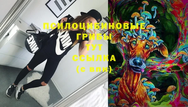 стафф Алзамай