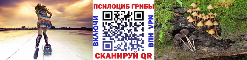 Галлюциногенные грибы GOLDEN TEACHER  KRAKEN зеркало  Осинники  что такое наркотик 