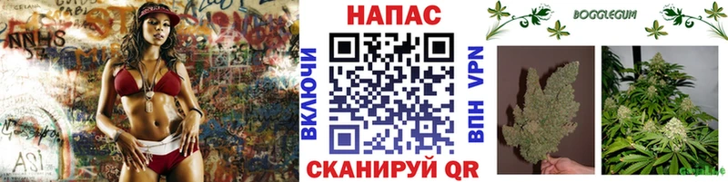 где купить   Осинники  Конопля планчик 